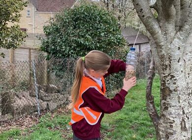 IMG 2571 eco clean up