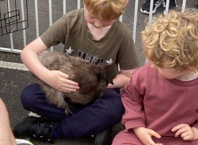 20251002 135250537 iOS