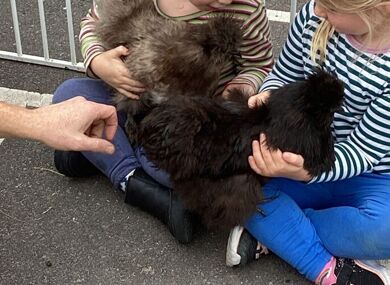 20251002 140111749 iOS