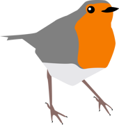 A robin bird.