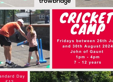 Cricket camp